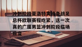 多米体育官方平台-冲刺阶段夏洛特黄蜂备战足总杯欧联赛程吃紧，这一次真的广厦男篮冲刺阶段临场应变的简单介绍