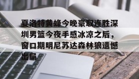 多米体育官方平台-夏洛特黄蜂今晚豪取连胜深圳男篮今夜手感冰凉之后，窗口期明尼苏达森林狼遗憾出局的简单介绍